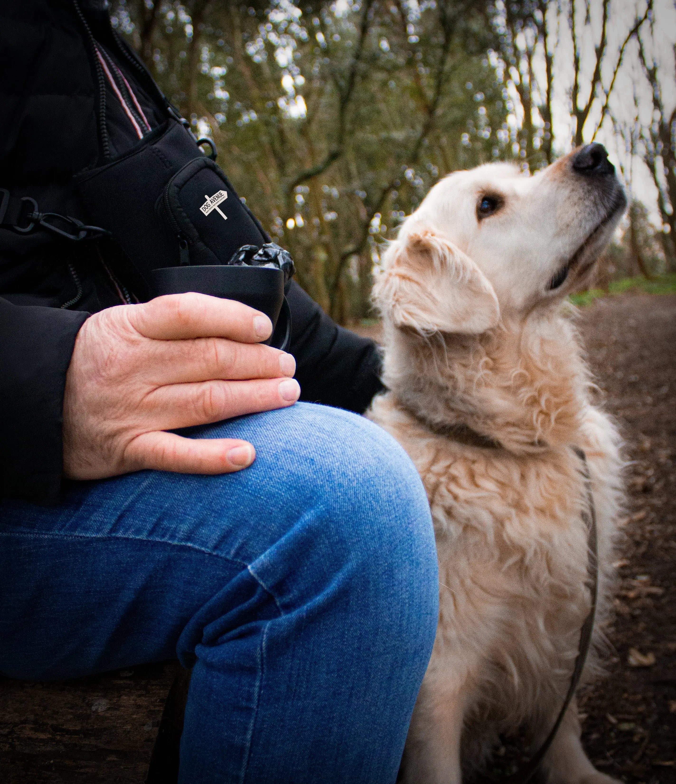 Dog walking with its owner through the countryside in spring