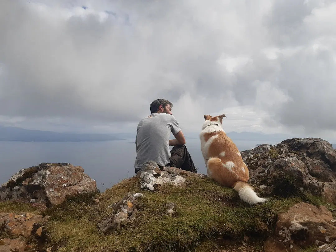 Dog and owner wildlife watching together in the countryside
