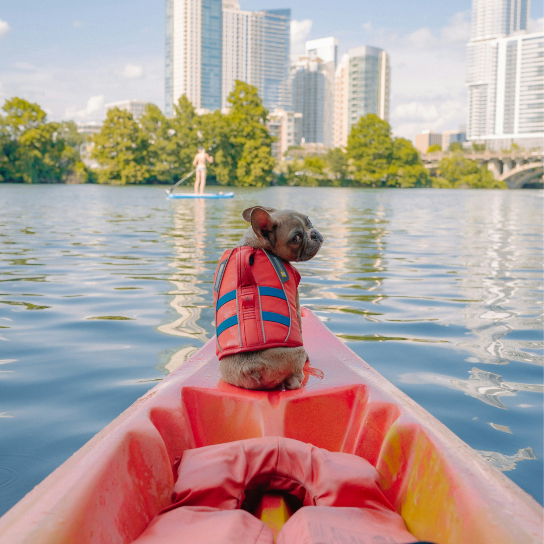 The ultimate guide to kayaking with your dog