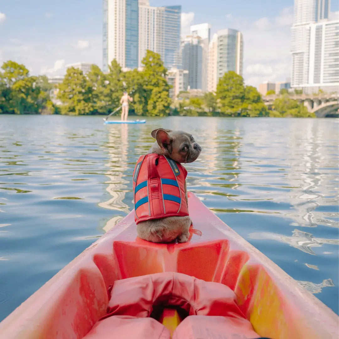 Dog wearing a life jacket on a kayak out on the water