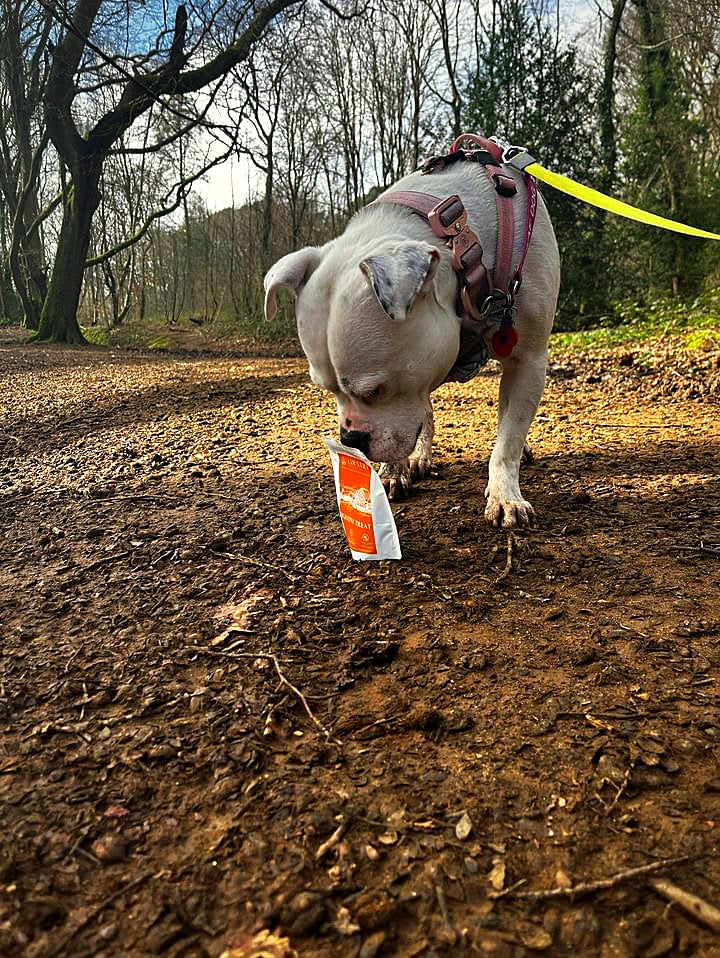 Digestive Duck Dog Treats Country Barn