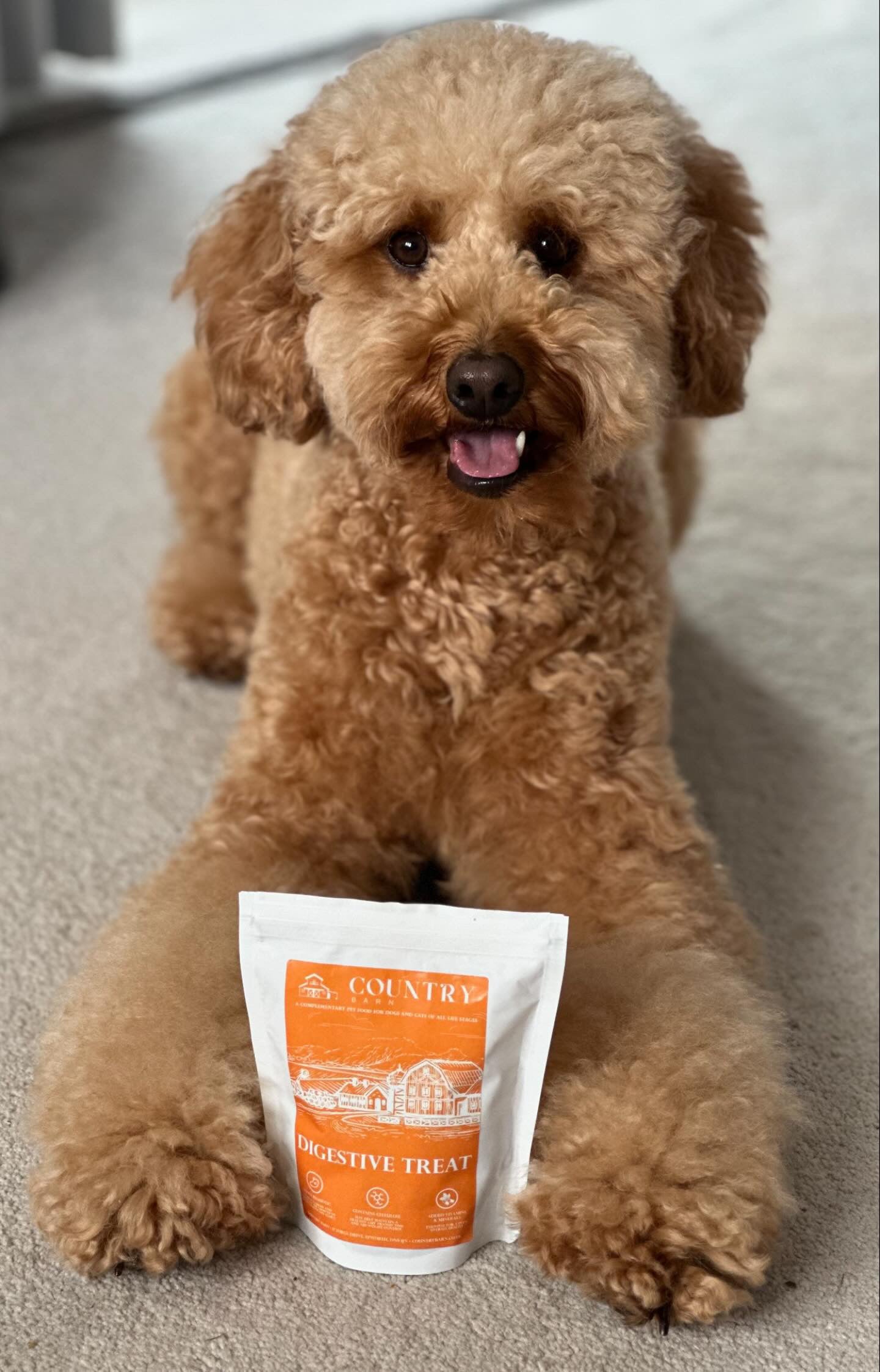 Digestive Duck Dog Treats Country Barn