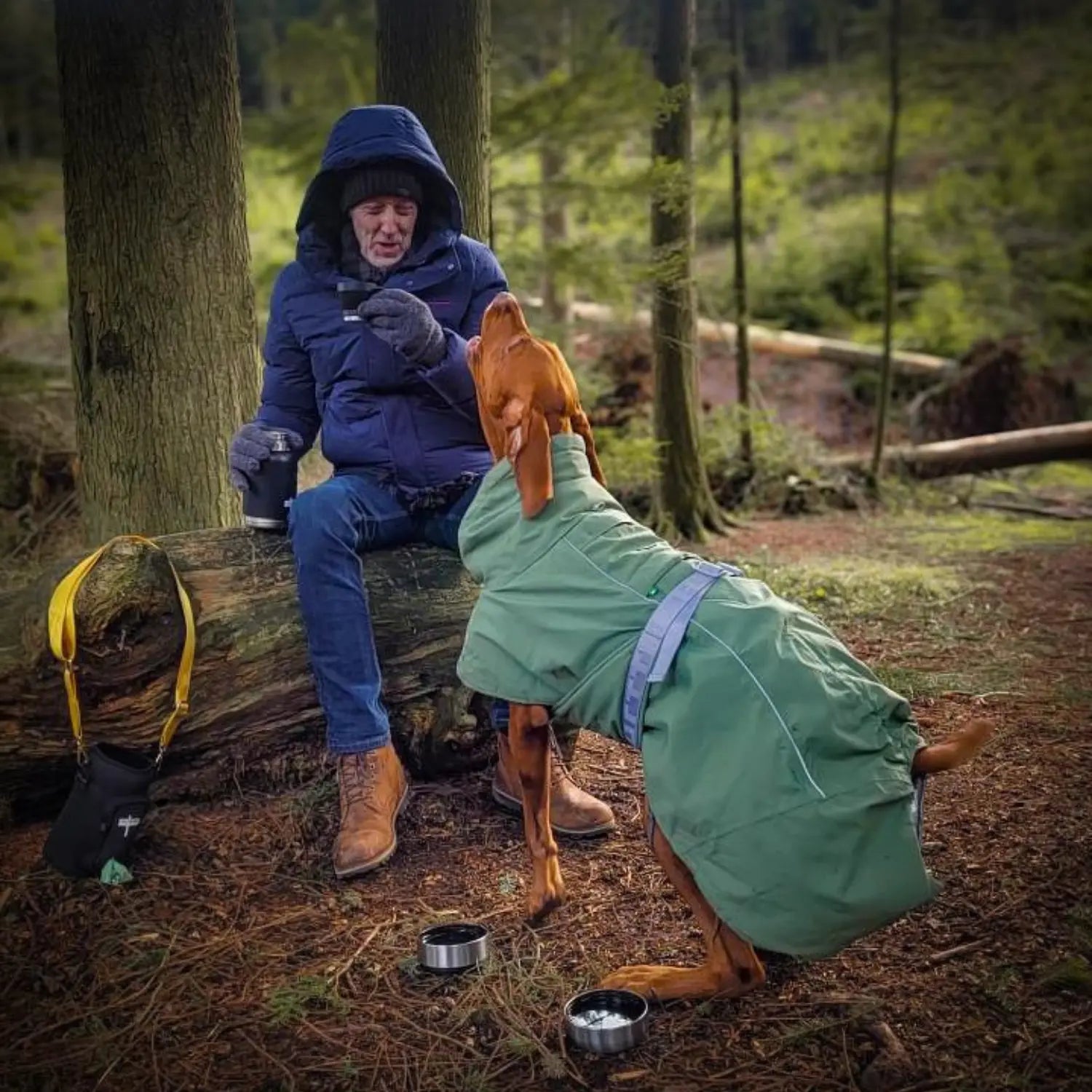 Man resting on a log in a winter forest with his Vizsla, the Buddy Bag and two stainless steel travel bowls on the ground