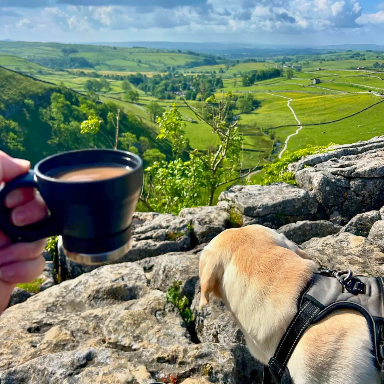 Hand holding the bottle's cup lid filled with a hot drink overlooking a green valley, with a yellow Labrador on a hike