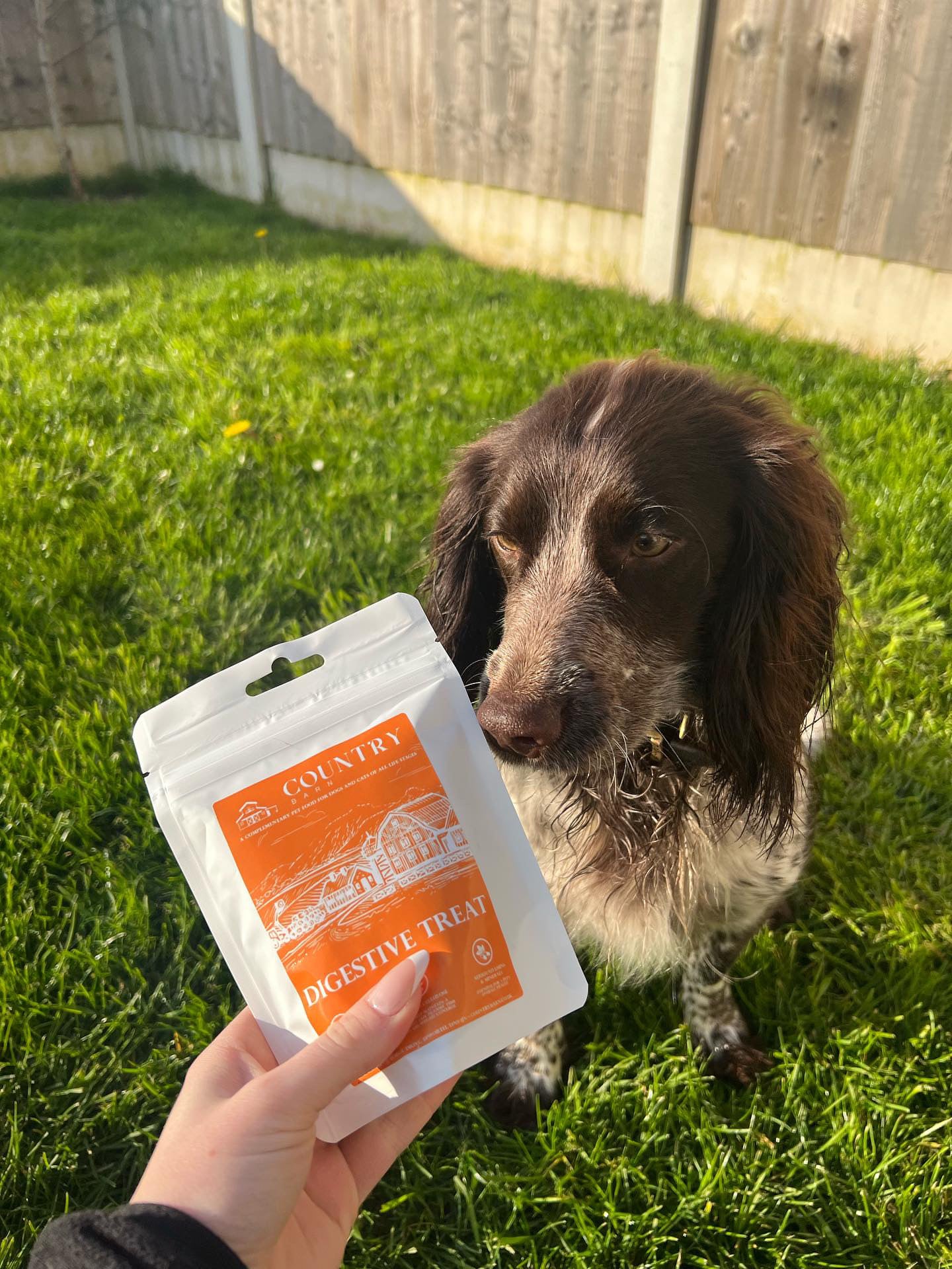 Digestive Duck Dog Treats Country Barn
