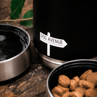 3-in-1 Outdoor Dog Water Bottle