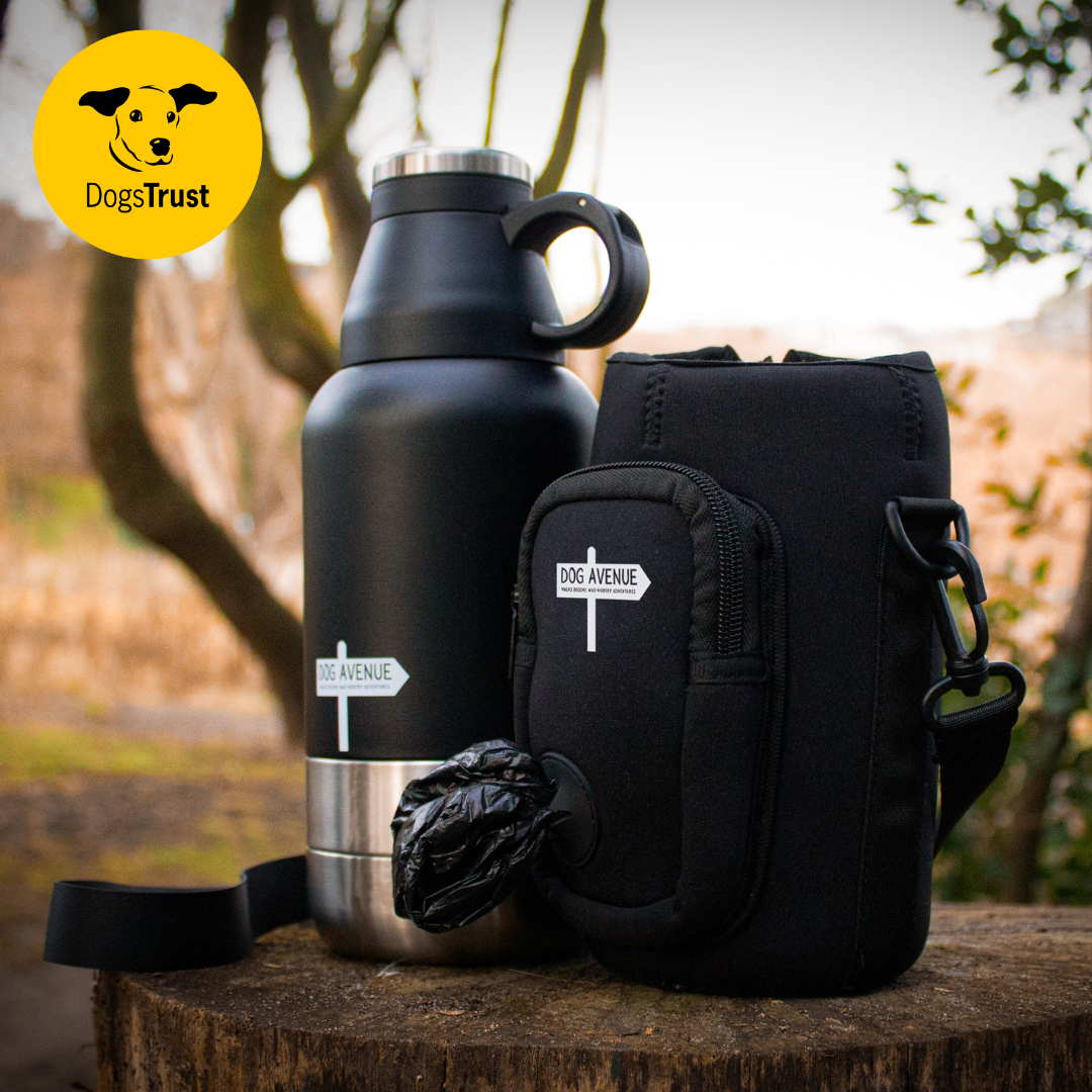 3-in-1 Outdoor Dog Water Bottle