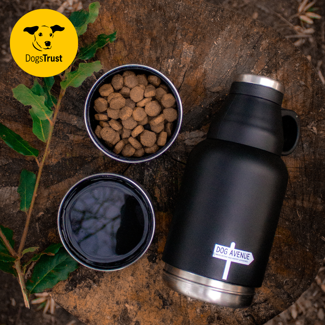 3-in-1 Outdoor Dog Water Bottle