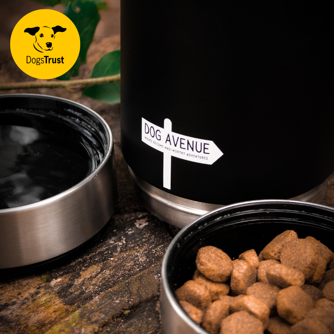 3-in-1 Outdoor Dog Water Bottle