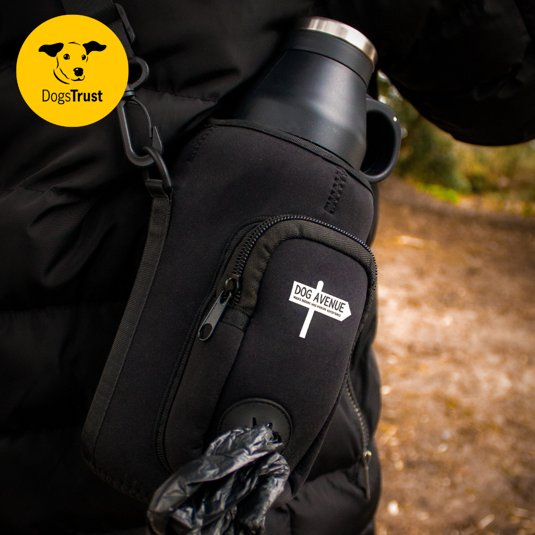 3-in-1 Outdoor Dog Water Bottle