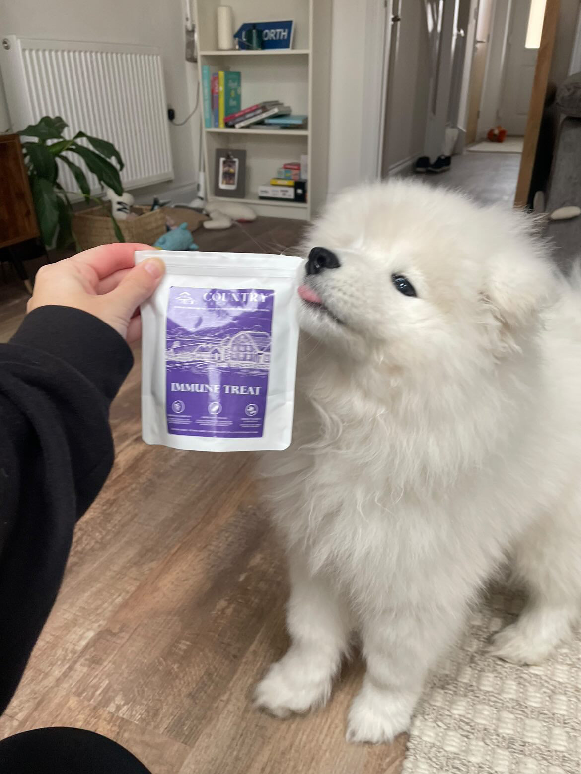 Immune Boost Bites Country Barn